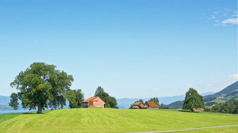 Ni Mwenyezi Mungu Pekee Awezaye Kumwokoa Mwanadamu