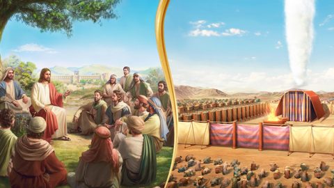 Tofauti kati ya kazi ya Mungu mwenye mwili na kazi ya Roho