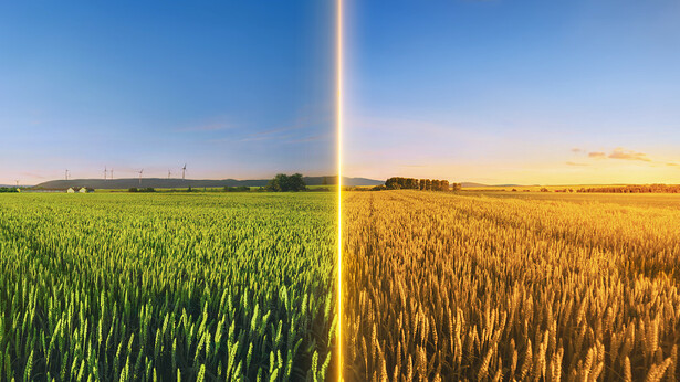 Wokovu na Wokovu Kamili