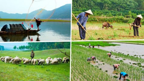 Mipaka Imeibuka kwa Sababu ya Mitindo Mbalimbali ya Maisha ya Binadamu