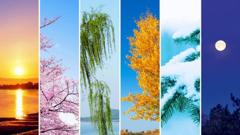 Kwenye Siku ya Nne, Misimu, Siku, na Miaka ya Mwanadamu Iliumbika Huku Mungu Akionyesha Mamlaka Yake kwa Mara Nyingine Tena