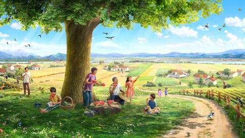 Hadithi ya 1. Mbegu, Ardhi, Mti, Mwanga wa Jua, Chiriku, na Mwanadamu