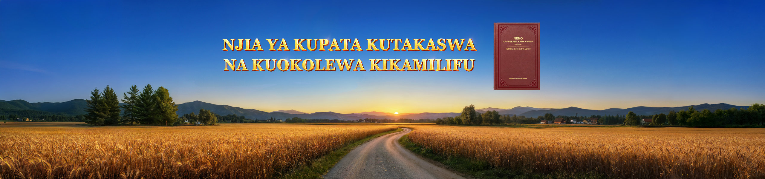 Njia ya Kupata Kutakaswa na Kuokolewa Kikamilifu